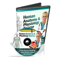 Human Anatomy Course